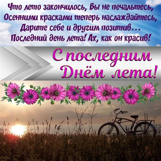 Оригинальная картинка с розовыми цветами на последний день лета 