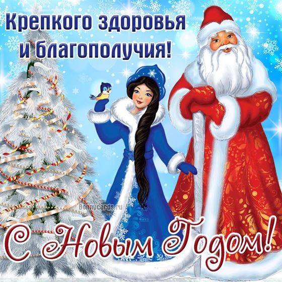 Дед Мороз и Снегурочка на Новый год