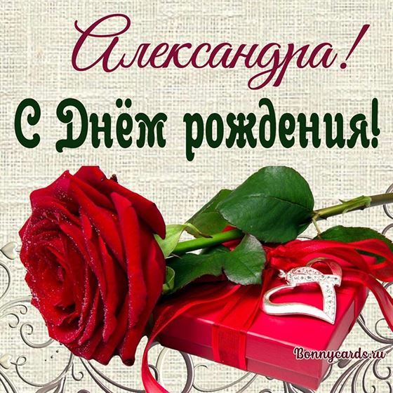 Картинка на День рождения Александре с розой
