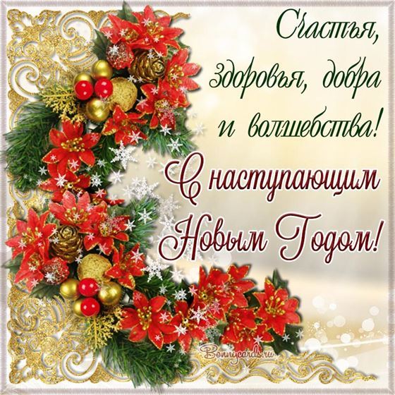 Картинка на Новый год с красными цветами