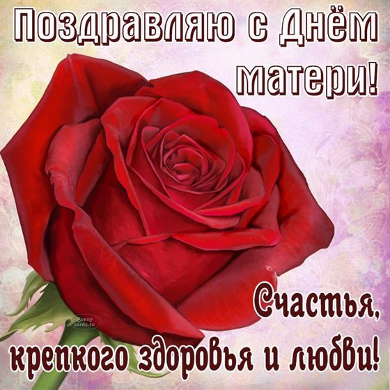 Пусть материнское сердце не болит