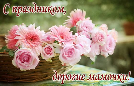 Розовые цветы на День матери