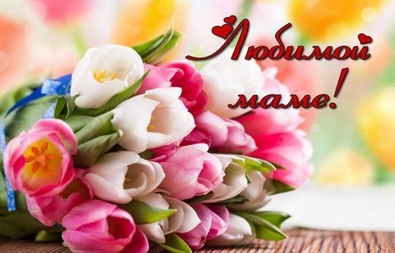 Шикарные тюльпаны на День матери