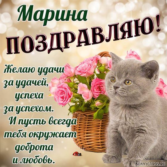 Поздравление для Марины с пожеланием и котиком