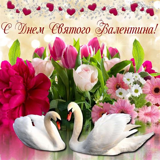 Оригинальная картинка на День Святого Валентина с лебедями