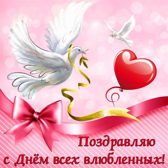 Голубь на День Святого Валентина