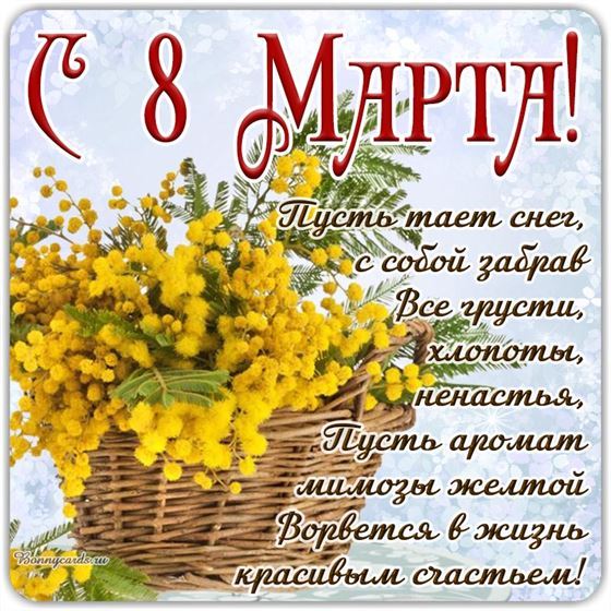 Корзина мимоз на 8 марта