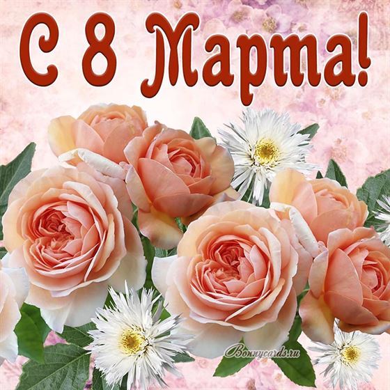 Красивая открытка с нежными розами на 8 марта