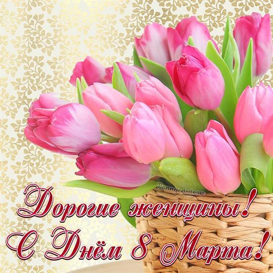 Открытка на 8 марта с розовыми тюльпанами
