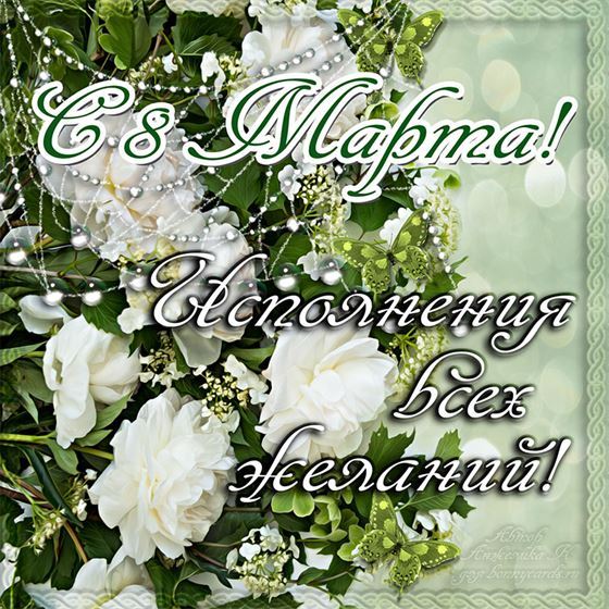 Красивые белые цветы на 8 марта