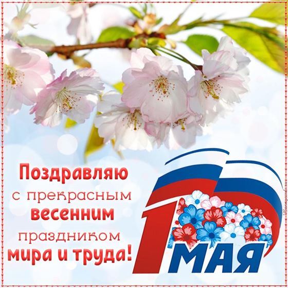 Открытка на день труда с розовыми цветами на ветке