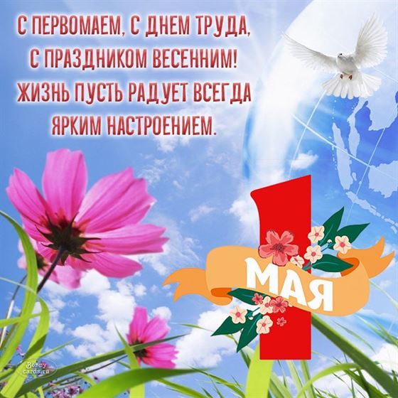 С весенним праздником первомай! Тёплые пожелания на открытке