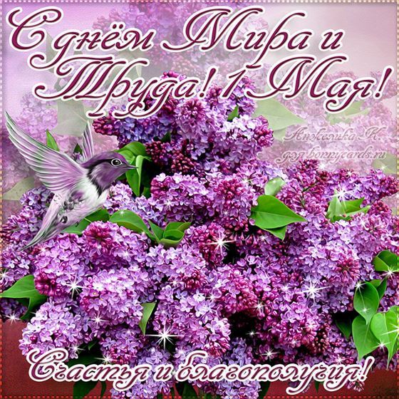 Птичка и сирень на открытке на праздник Первомай