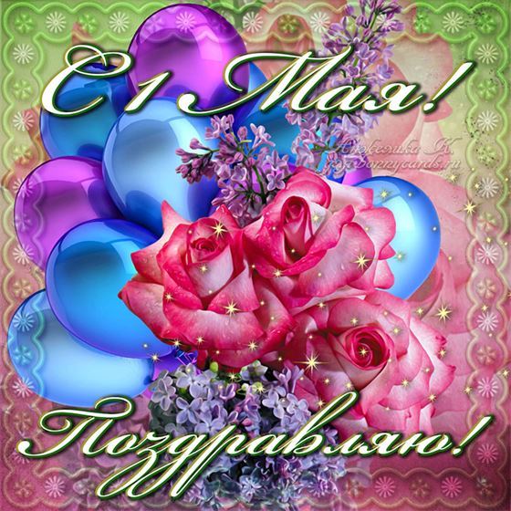 Поздравительная картинка с розами и шарами с Первомаем