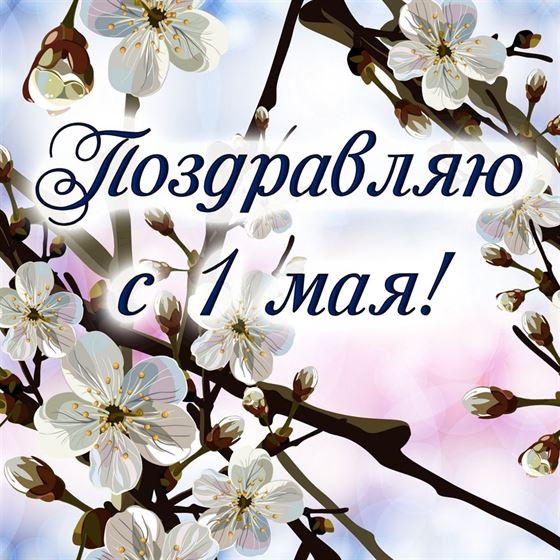 Поздравление на 1 мая на фоне ветки с белыми цветками