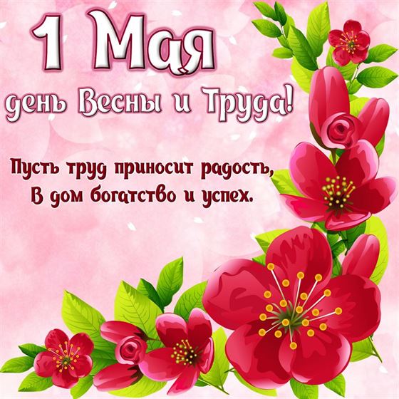 Красные цветы на картинке с поздравлением с Первомаем