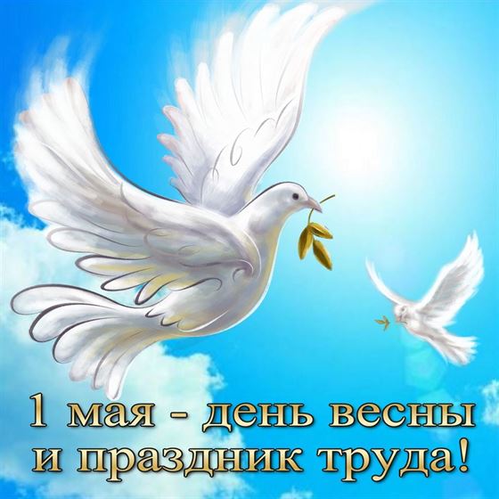 Голуби поздравляют всех с Первомаем