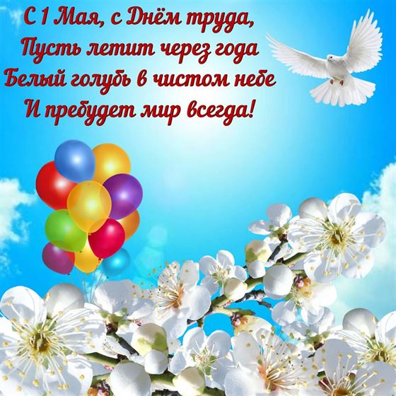 Весенние цветы и голубь на фоне неба