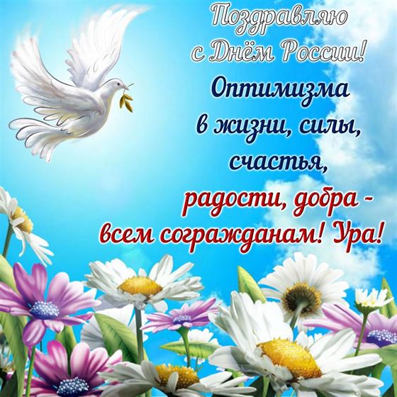 Белый голубь на фоне цветов на День России