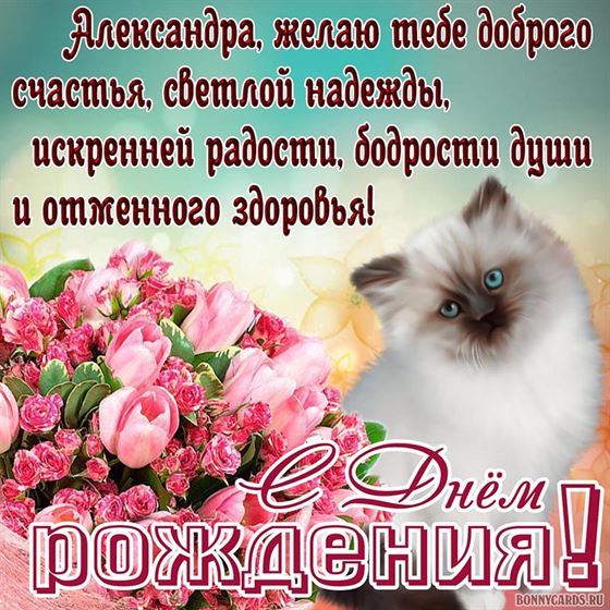 Милый котик поздравляет с Днем рождения Александру
