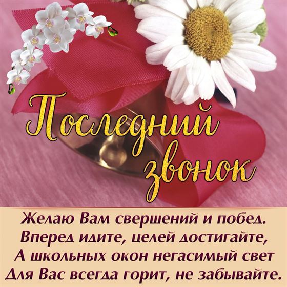 Красивая открытка на последний звонок с ромашкой