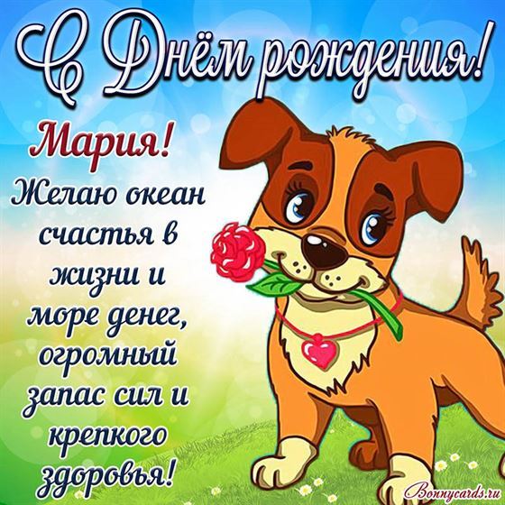 Забавная картинка с собакой на День рождения Марии