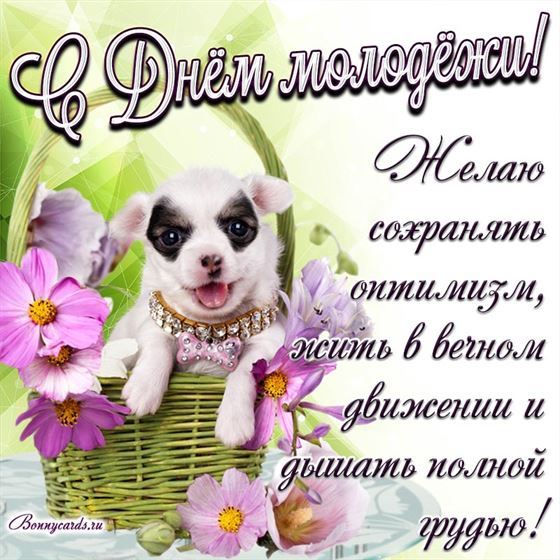 Поздравление на картинке с чобачкой на День молодёжи
