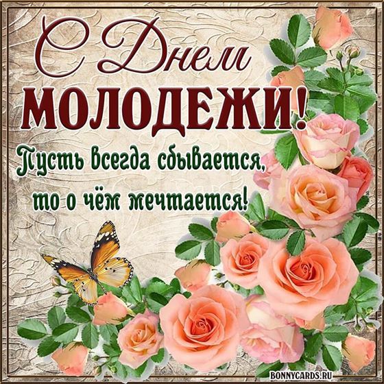 Розовые розы на открытке в День молодёжи