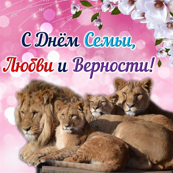 Львиная семья на картинке поздравляет с праздником семьи