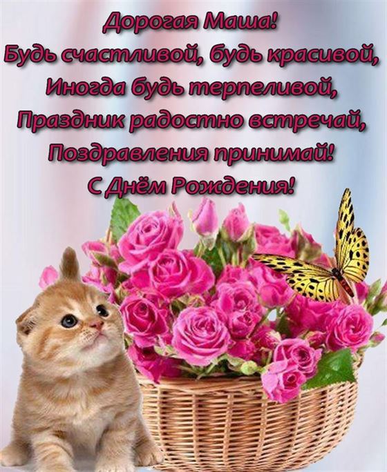 Симпатичный котик с корзинкой цветов и пожелание на День рождения Марии