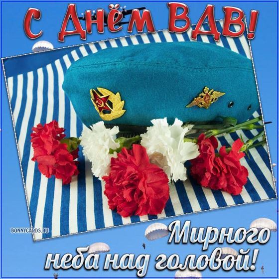 Мирного неба над головой, картинка с гвоздиками и тельняшкой