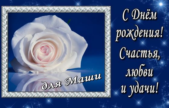 Белая роза в рамке на синем фоне на День рождения Маши