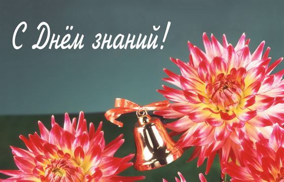 Красивые цветы с колокольчиком на День знаний