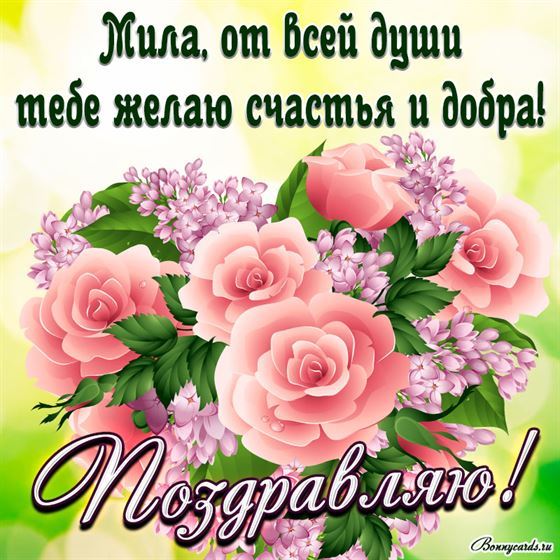 Яркая картинка с розовыми розочками и поздравлением Миле