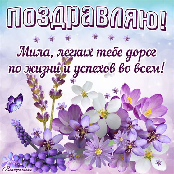 Трогательная открытка с сиреневыми цветами на День рождения Милы