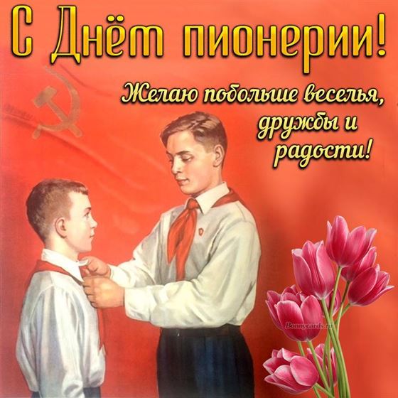 Открытка с розовыми тюльпанами на День пионерии
