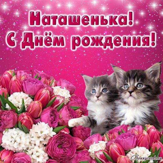 Картинка с цветами и котятами на День рождения Наташеньке