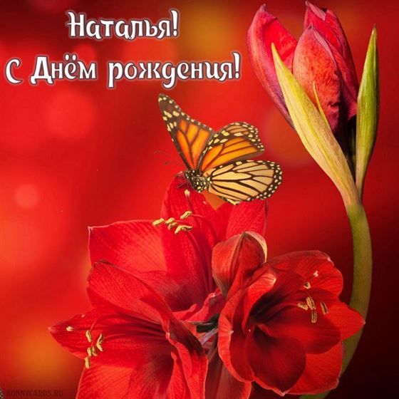 Открытка для Натальи с красными цветами и бабочкой