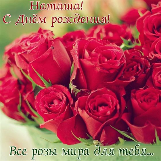Все розы мира на День рождения Наташе