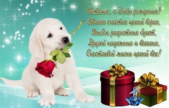 Забавная открытка с щенком на День Рождения Наташи