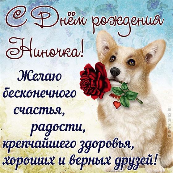 Прикольная открытка с собакой для Нины на День Рождения