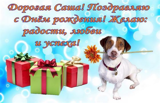 Забавная открытка с собакой на День рождения Александры