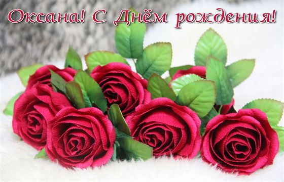 Красные розы на снегу для Оксаны на День рождения