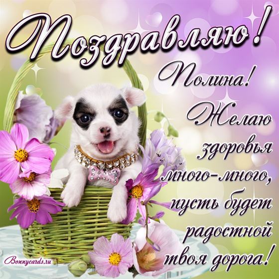 Милый пёсик в корзине поздравляет Полину с Днем рождения