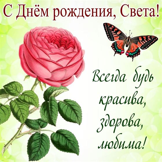 Роза с бабочкой на День рождения Светланы