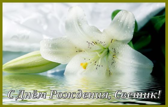 Оригинальная картинка с белой лилией на День рождения Свете