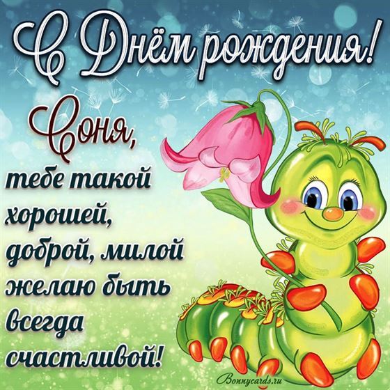 Смешная открытка с гусеницей на День рождения Софии