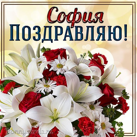 Замечательная открытка с букетом и поздравлением Софии