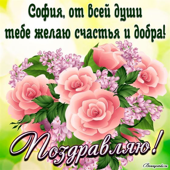 Яркая картинка с розовыми розочками и поздравлением Софие