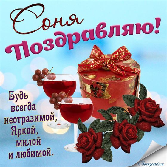 Оригинальная открытка с бокалами вина для Софии в День рождения